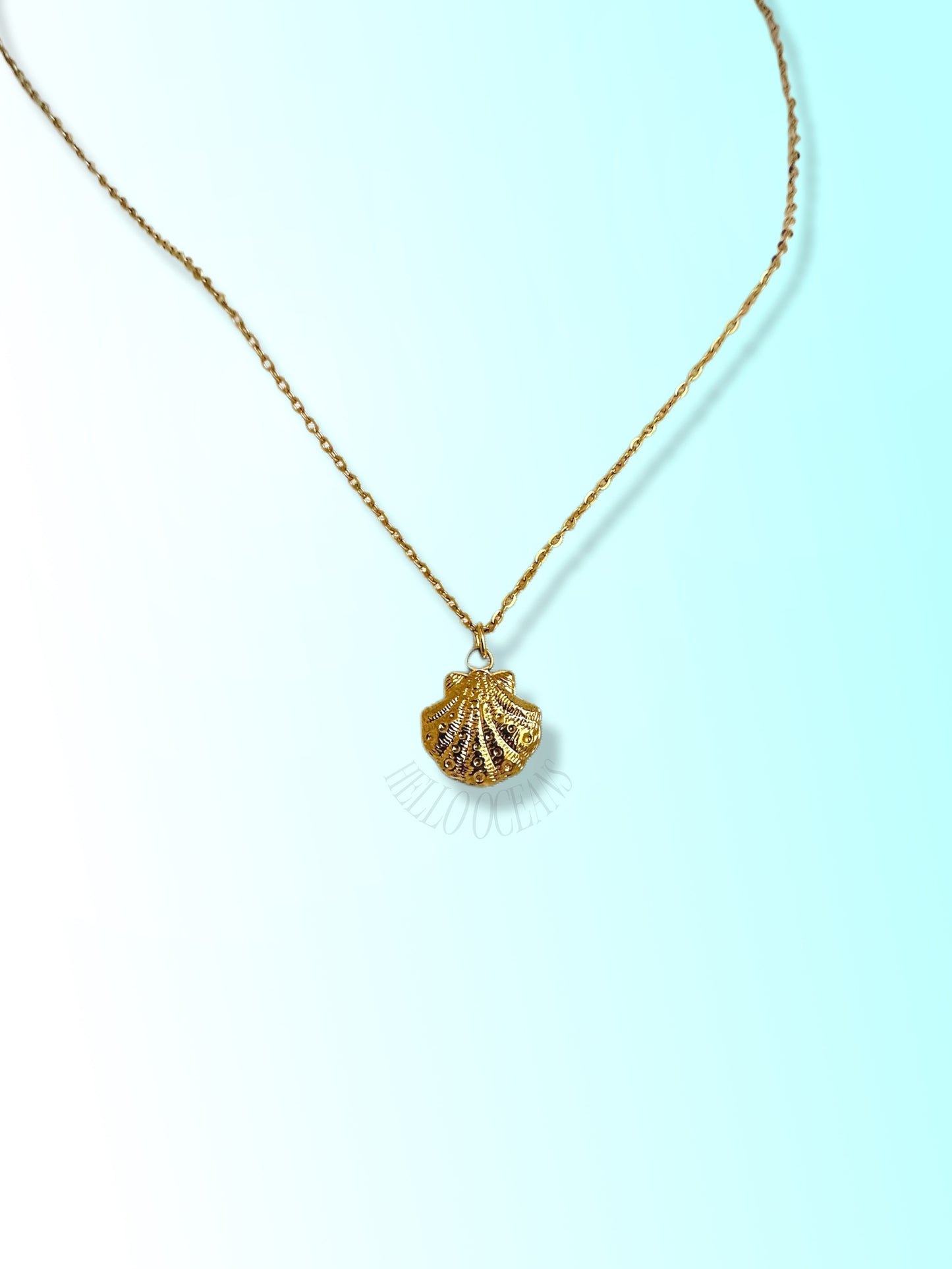 Collier coquillage