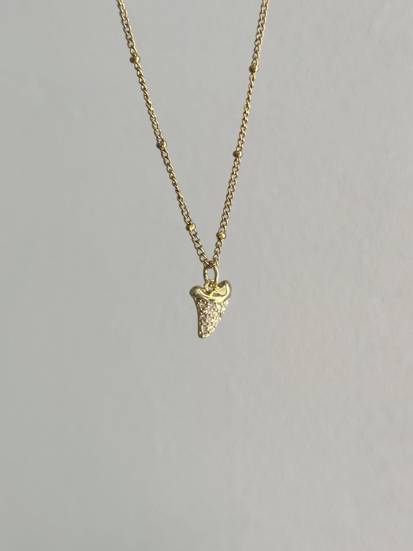 Collier Dent de requin