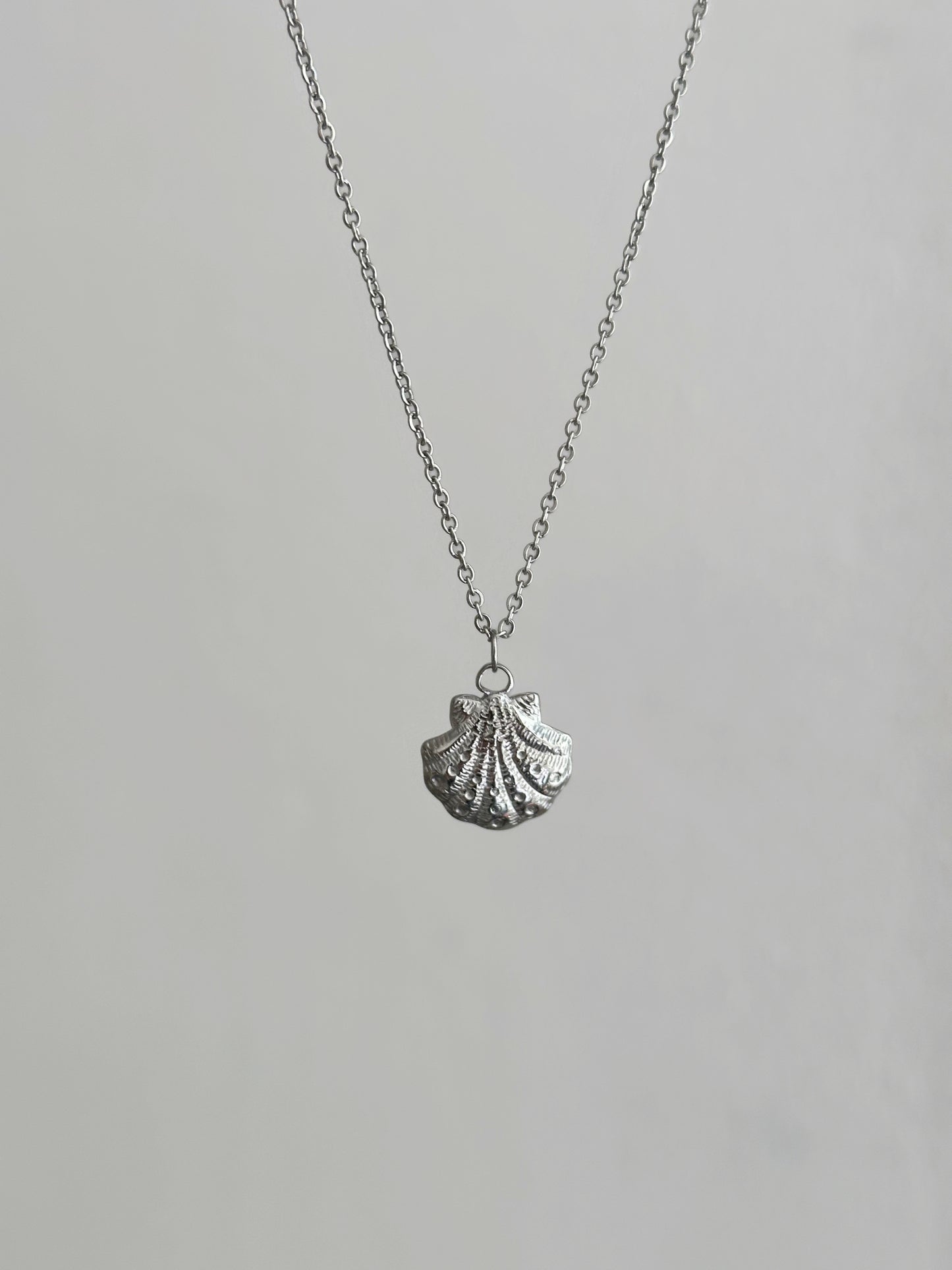 Muschelkette