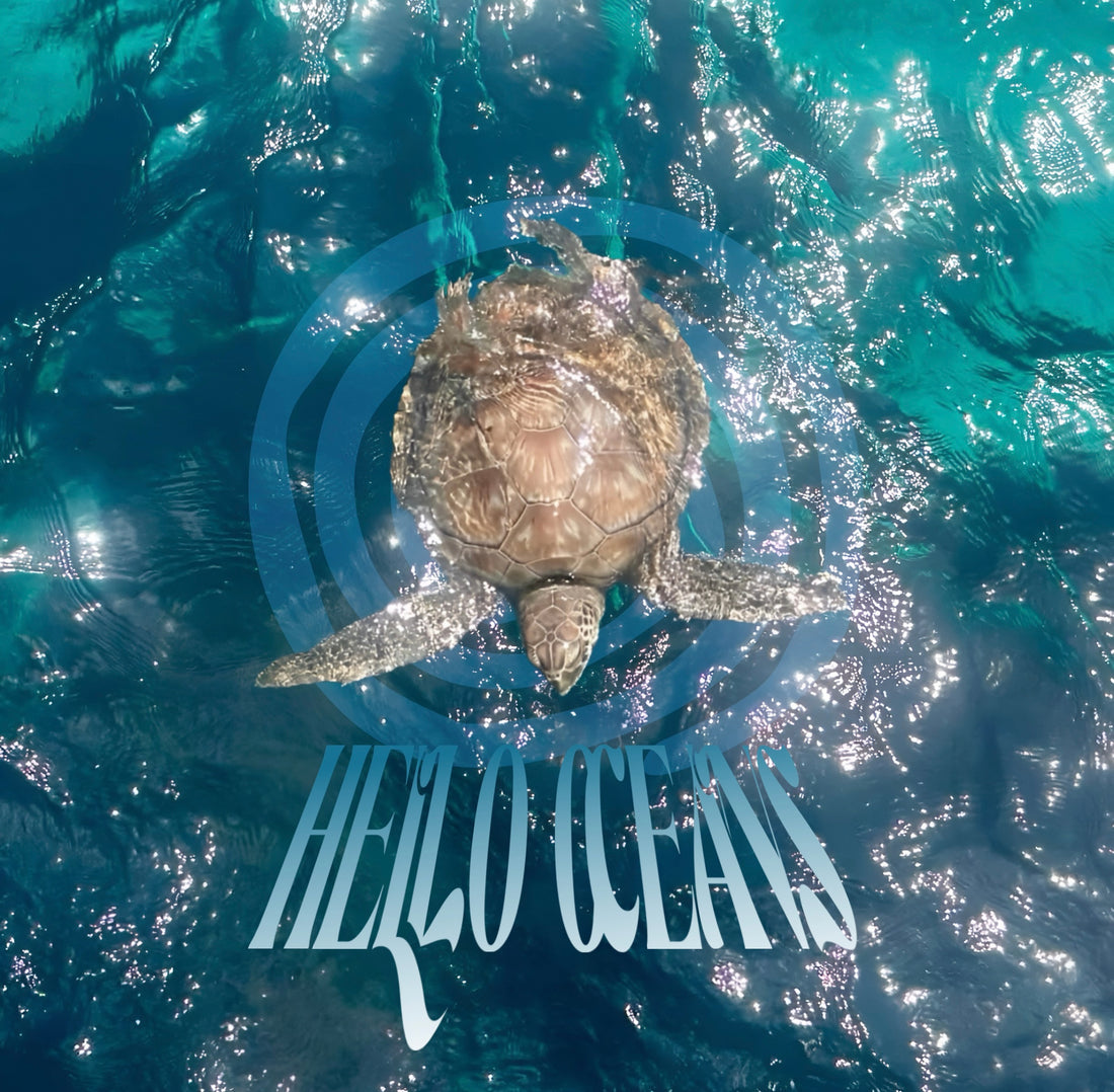 Hello Oceans – Hello Oceans