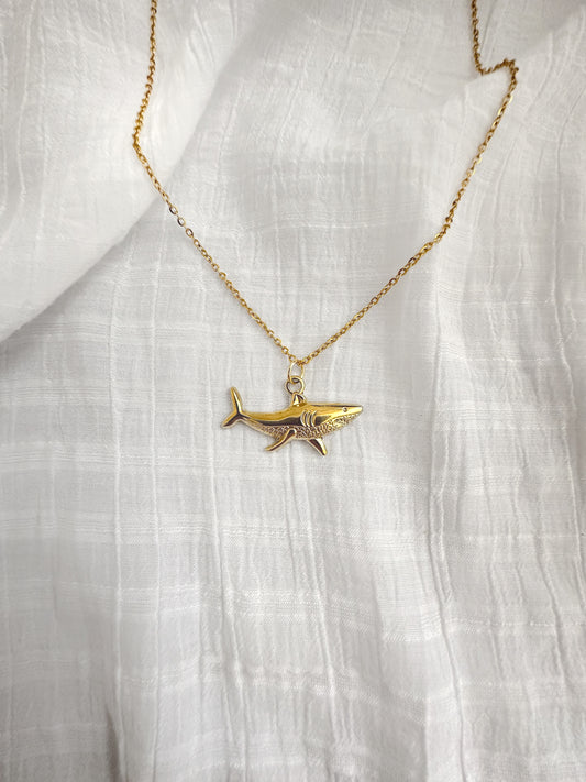 Collier Requin