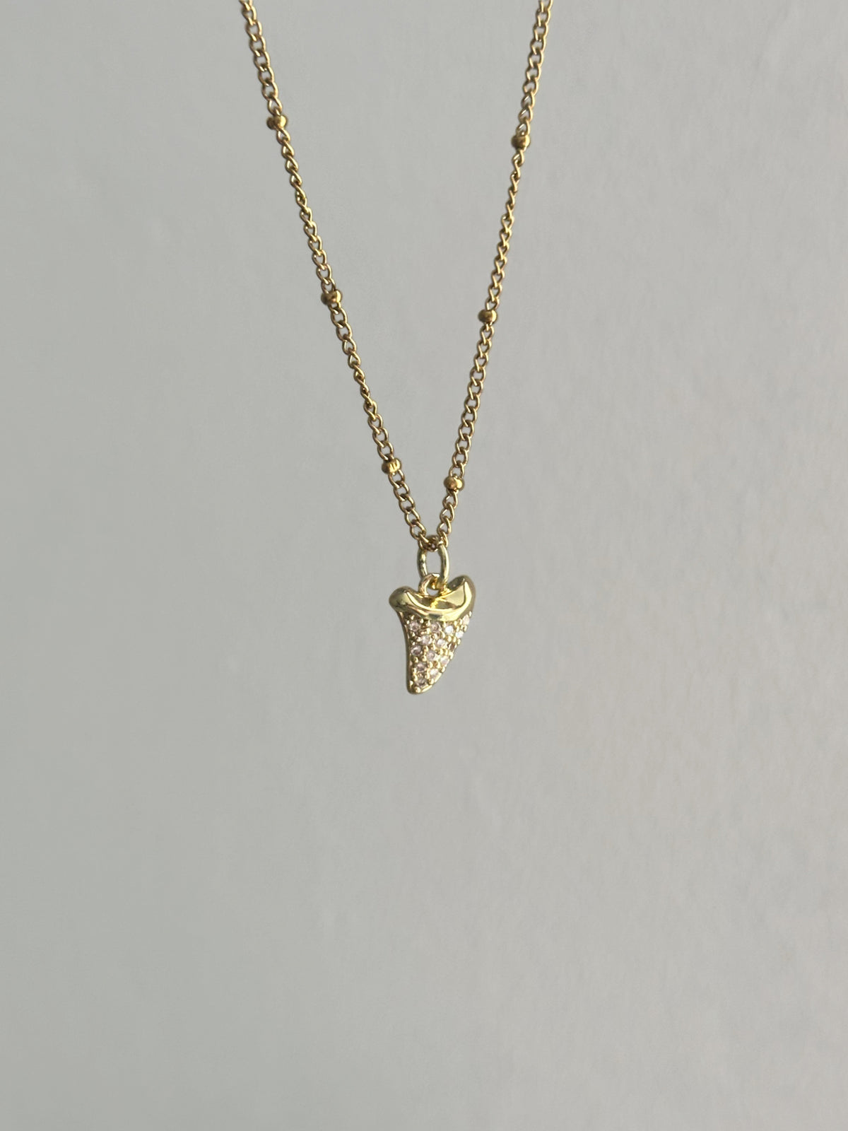 Collier Dent de requin