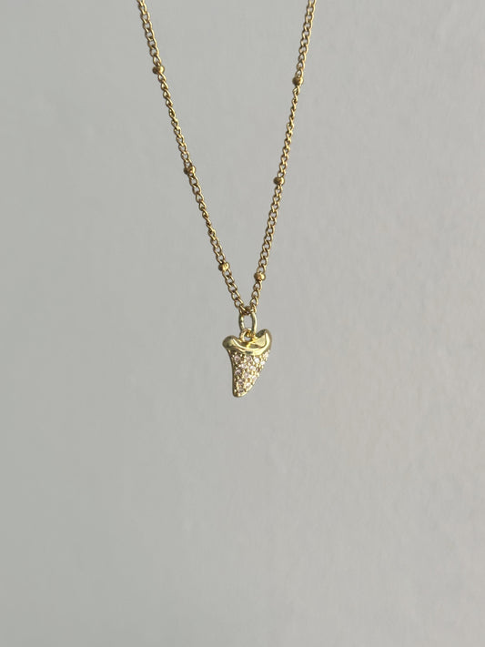 Collier Dent de requin