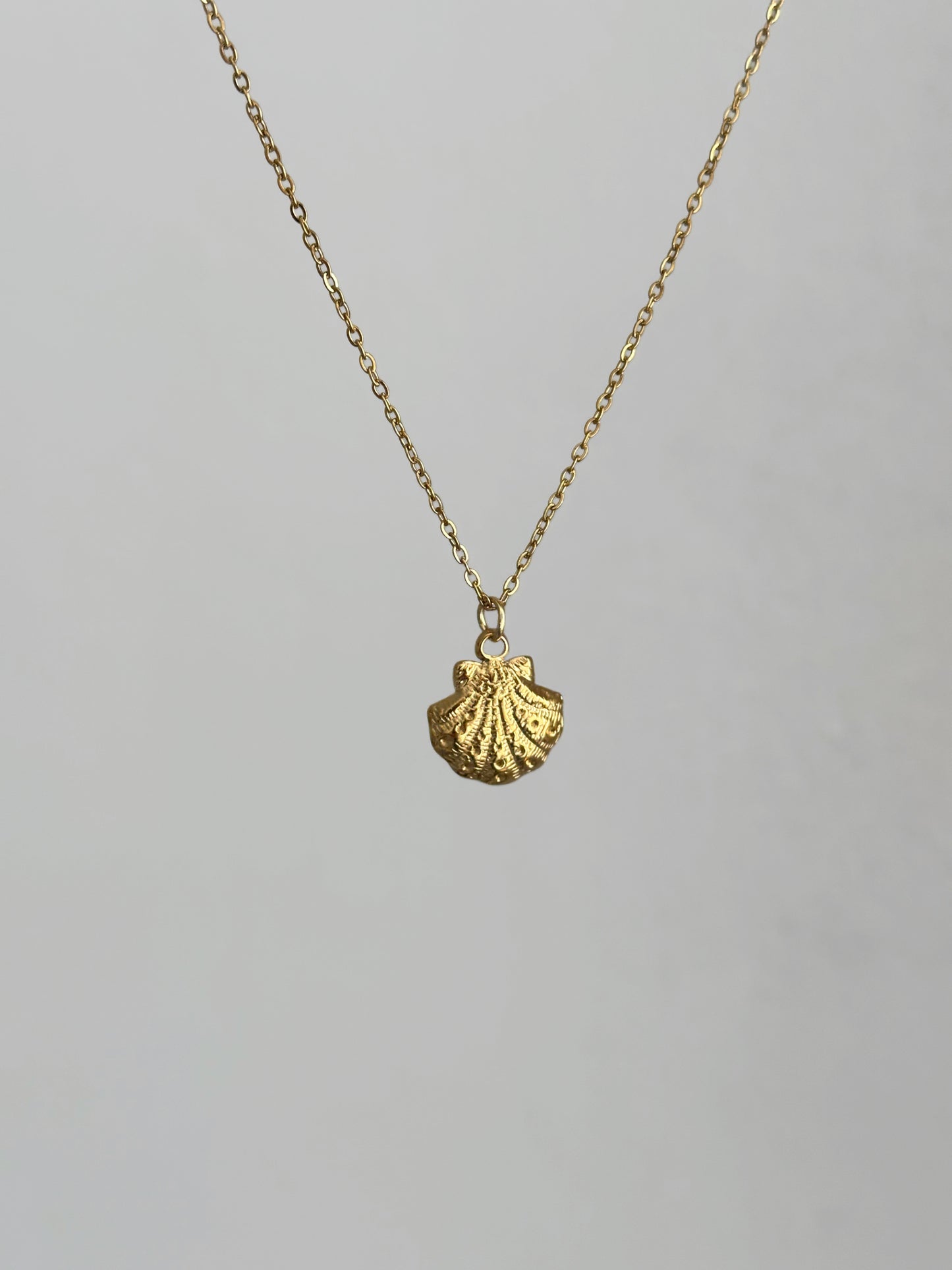 Muschelkette