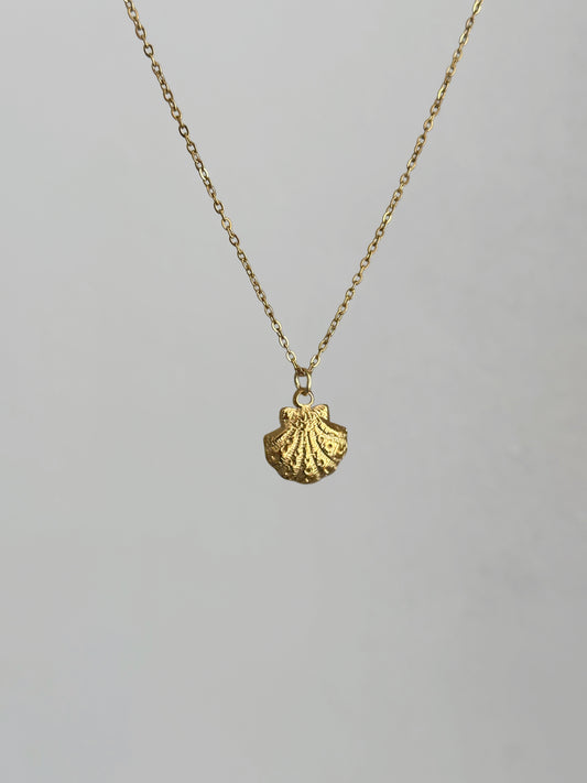 Muschelkette